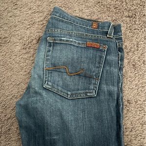 7 for all mankind roxanne